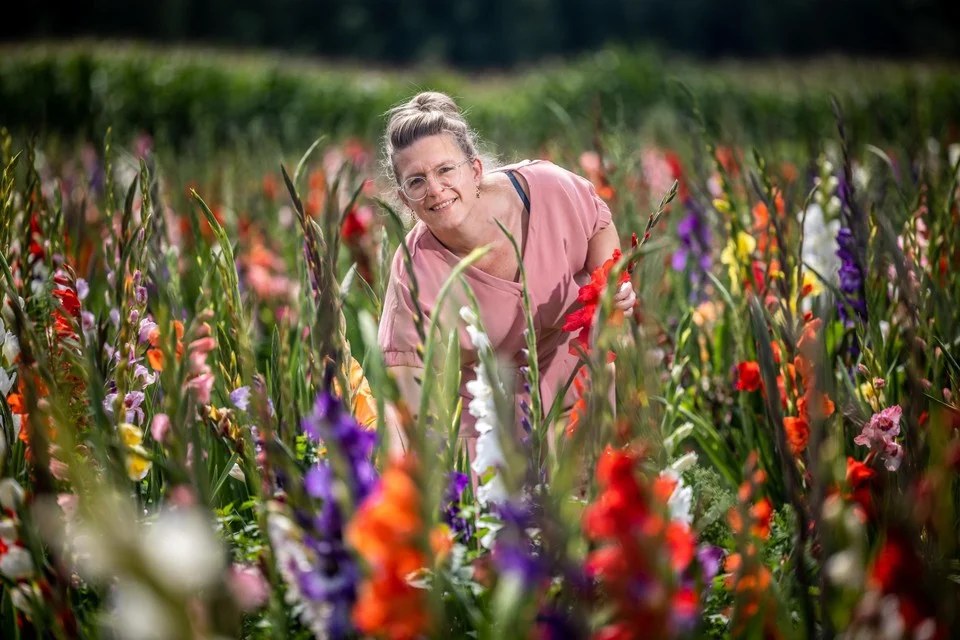 Zelfpluktuin voor bloemen is uitgezaaid naar zes andere gemeenten: “Dit was het extraatje dat we nog zochten”