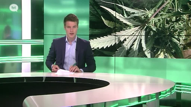 Politie MidLim rolt drugsnetwerk op